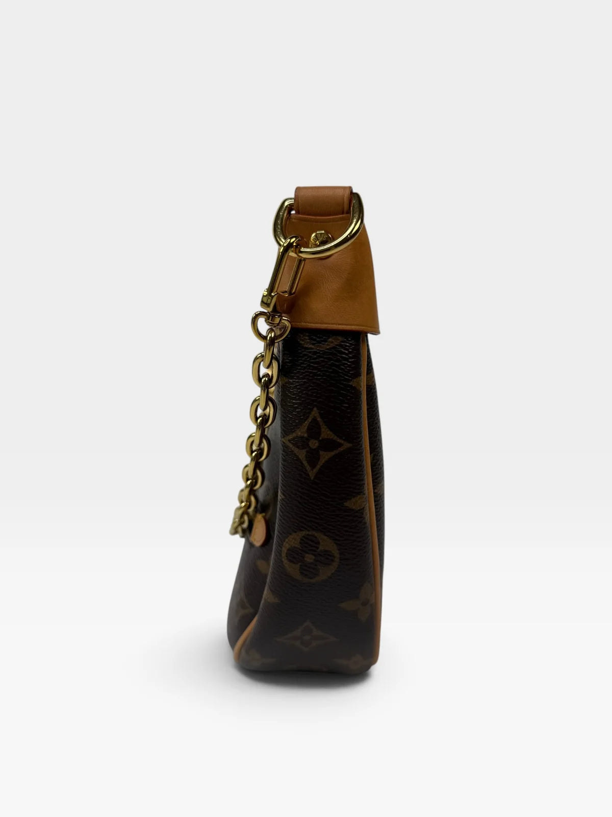 LOUIS VUITTON LOOP BAG IN BROWN MONOGRAM WITH GOLD HARDWARE